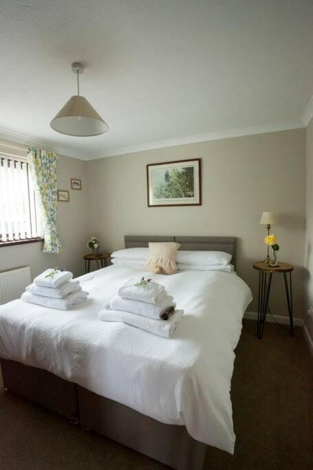 Goitre Bach Cottage Aberaeron Εξωτερικό φωτογραφία
