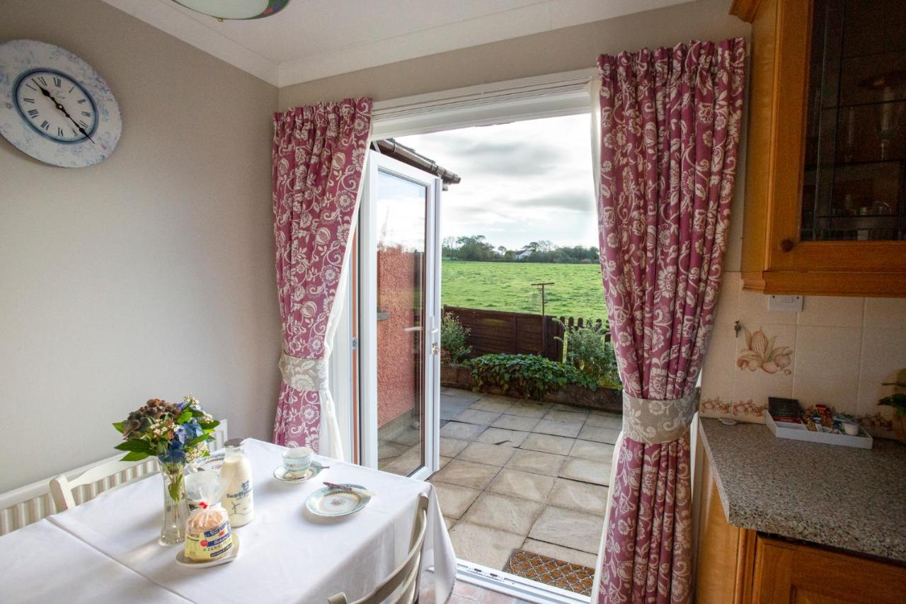 Goitre Bach Cottage Aberaeron Εξωτερικό φωτογραφία