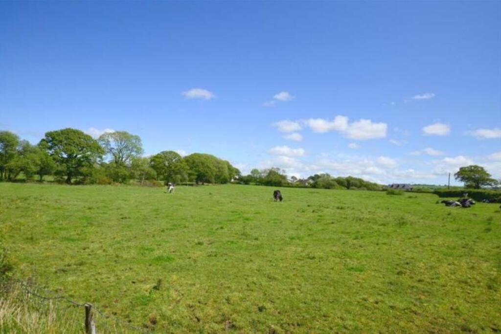 Goitre Bach Cottage Aberaeron Εξωτερικό φωτογραφία