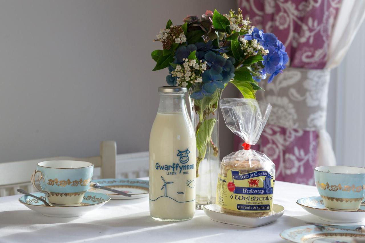 Goitre Bach Cottage Aberaeron Εξωτερικό φωτογραφία