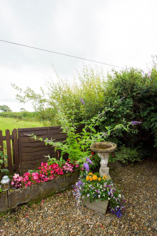 Goitre Bach Cottage Aberaeron Εξωτερικό φωτογραφία