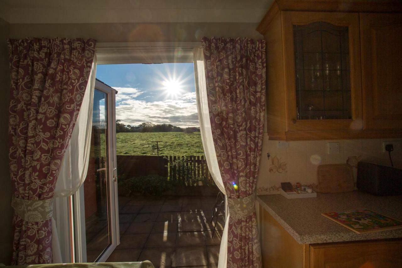 Goitre Bach Cottage Aberaeron Εξωτερικό φωτογραφία
